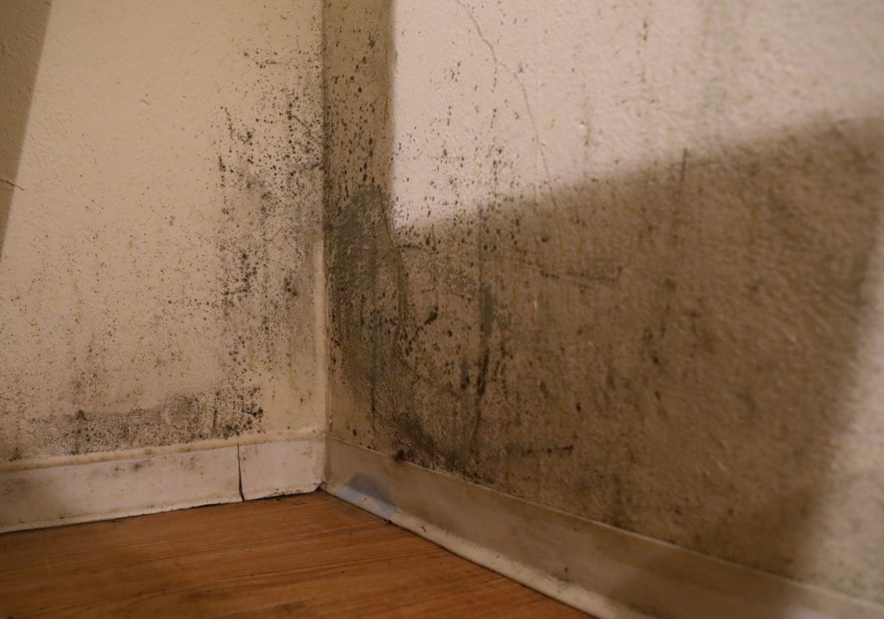 Many problems for Springwood Apartments residents